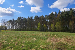 Działka na sprzedaż 600m2 tarnogórski Tarnowskie Góry Pniowiec - zdjęcie 2