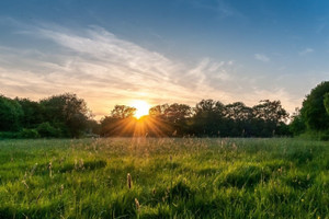 Działka na sprzedaż 1418m2 tarnogórski Tarnowskie Góry Pniowiec - zdjęcie 1