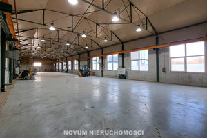 Komercyjne na sprzedaż 830m2 tarnogórski Tarnowskie Góry - zdjęcie 3