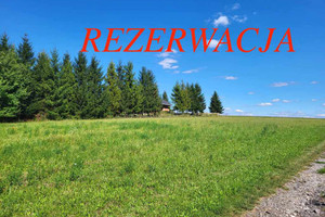 Działka na sprzedaż 11200m2 krakowski Iwanowice Maszków - zdjęcie 1