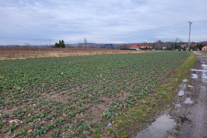 Działka na sprzedaż 746m2 krakowski Zabierzów Bolechowice - zdjęcie 2