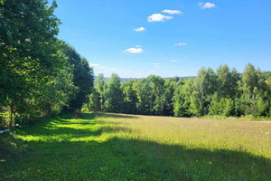 Działka na sprzedaż 11200m2 krakowski Iwanowice Maszków - zdjęcie 2