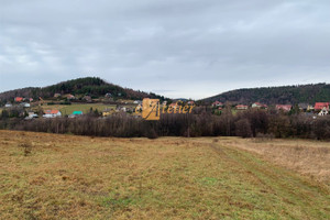 Działka na sprzedaż 11359m2 wadowicki Andrychów Rzyki - zdjęcie 2