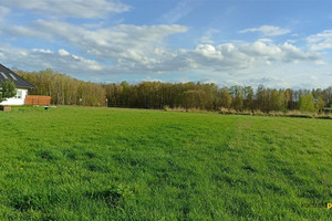 Działka na sprzedaż 3124m2 gliwicki Pilchowice Stanica Gliwicka - zdjęcie 3