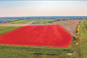 Działka na sprzedaż 35872m2 Gliwice - zdjęcie 1