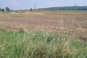 Działka na sprzedaż 1012m2 bieruńsko-lędziński Lędziny - zdjęcie 1