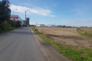 Działka na sprzedaż 16500m2 gnieźnieński Gniezno - zdjęcie 2