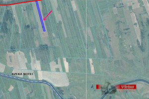 Działka na sprzedaż 10100m2 czarnkowsko-trzcianecki Czarnków Kaźmierówka Kaźmierówka - zdjęcie 3