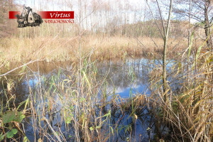 Działka na sprzedaż 13193m2 wrzesiński Nekla Zasutowo Leśna - zdjęcie 3