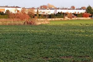 Działka na sprzedaż 7341m2 poznański Tarnowo Podgórne Batorowo Stefana Batorego - zdjęcie 3