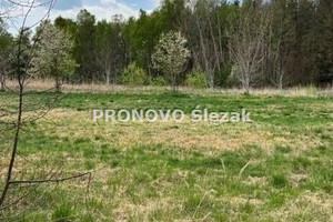 Działka na sprzedaż 3000m2 trzebnicki Trzebnica Koczurki - zdjęcie 3