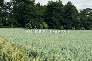 Działka na sprzedaż 3000m2 trzebnicki Oborniki Śląskie Borkowice - zdjęcie 2