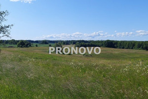 Działka na sprzedaż 93600m2 drawski Kalisz Pomorski Krężno - zdjęcie 3