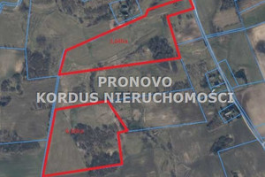 Działka na sprzedaż 78000m2 drawski Drawsko Pomorskie Łabędzie - zdjęcie 1