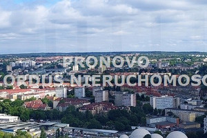 Komercyjne do wynajęcia 219m2 Szczecin Centrum - zdjęcie 2