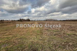 Działka na sprzedaż 1700m2 trzebnicki Trzebnica Szczytkowice - zdjęcie 3