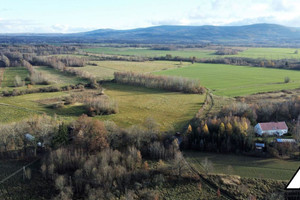 Działka na sprzedaż 6000m2 lubański Leśna Wolimierz - zdjęcie 1