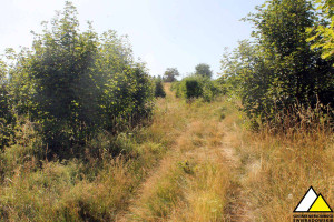 Działka na sprzedaż 73915m2 lubański Leśna Pobiedna - zdjęcie 3