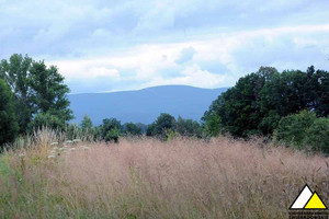 Działka na sprzedaż 3485m2 lwówecki Mirsk Brzeziniec - zdjęcie 2