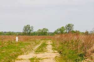 Działka na sprzedaż 1534m2 lubański Świeradów-Zdrój Jarzębinowa - zdjęcie 3