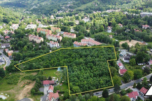 Działka na sprzedaż 23790m2 lubański Świeradów-Zdrój - zdjęcie 3