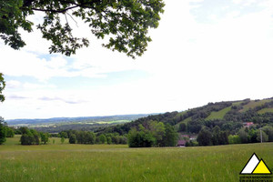 Działka na sprzedaż 9700m2 lwówecki Mirsk Gierczyn - zdjęcie 3