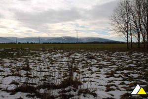 Działka na sprzedaż 7453m2 lubański Leśna - zdjęcie 2