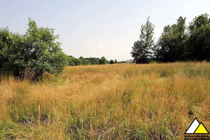 Działka na sprzedaż 7390m2 lubański Olszyna Kałużna Kałużna - zdjęcie 3