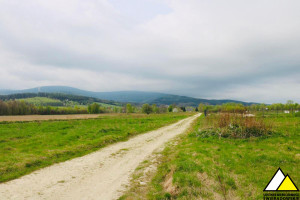 Działka na sprzedaż 1534m2 lubański Świeradów-Zdrój Jarzębinowa - zdjęcie 4