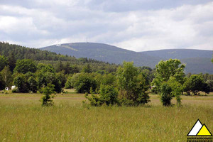 Działka na sprzedaż 1500m2 lwówecki Mirsk Krobica - zdjęcie 1