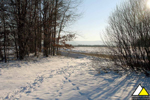 Działka na sprzedaż 1250m2 lwówecki Gryfów Śląski Krzewie Wielkie - zdjęcie 3