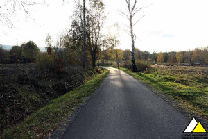 Działka na sprzedaż 1000m2 lwówecki Mirsk Rębiszów Rębiszów - zdjęcie 2