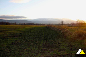 Działka na sprzedaż 1042m2 lwówecki Mirsk - zdjęcie 3