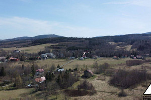 Działka na sprzedaż 10919m2 lubański Świeradów-Zdrój Nadrzeczna - zdjęcie 2