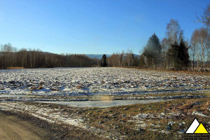 Działka na sprzedaż 7300m2 lwówecki Mirsk Mroczkowice Mroczkowice - zdjęcie 2