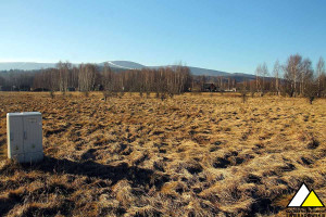 Działka na sprzedaż 2700m2 lwówecki Mirsk Orłowice Orłowice - zdjęcie 1