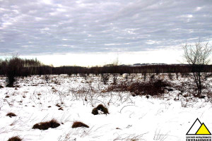 Działka na sprzedaż 2700m2 lwówecki Mirsk Orłowice Orłowice - zdjęcie 3