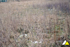 Działka na sprzedaż 2300m2 lwówecki Mirsk Krobica - zdjęcie 3