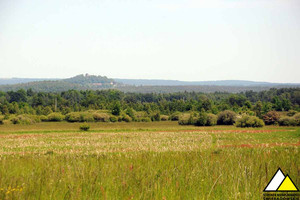 Działka na sprzedaż 1500m2 lwówecki Mirsk Krobica - zdjęcie 3