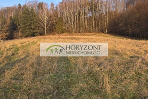 Działka na sprzedaż 9744m2 kartuski Kartuzy Brodnica Górna - zdjęcie 2