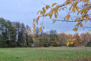 Działka na sprzedaż 2995m2 zgierski Zgierz Dąbrówka Wielka - zdjęcie 1