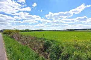 Działka na sprzedaż 3000m2 zgierski Zgierz Jasionka - zdjęcie 2