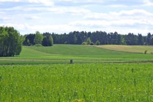 Działka na sprzedaż zgierski Zgierz Jasionka - zdjęcie 1