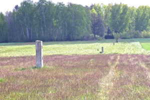 Działka na sprzedaż 3000m2 zgierski Zgierz Jasionka - zdjęcie 3