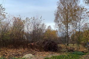 Działka na sprzedaż 6200m2 warszawski zachodni Stare Babice - zdjęcie 3