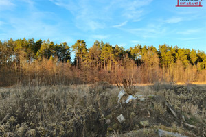 Działka na sprzedaż 1000m2 miński Dębe Wielkie Rysie - zdjęcie 2