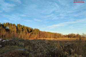 Działka na sprzedaż 1000m2 miński Dębe Wielkie Rysie - zdjęcie 1