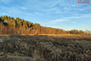 Działka na sprzedaż 1000m2 miński Dębe Wielkie Rysie - zdjęcie 3