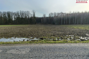 Działka na sprzedaż węgrowski Grębków Kózki - zdjęcie 1