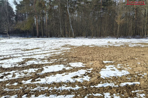 Działka na sprzedaż 800m2 miński Mrozy - zdjęcie 2